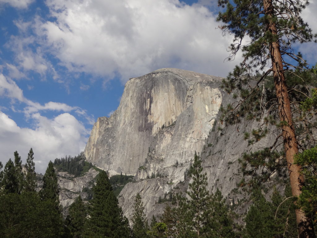 Top tips for camping in Yosemite with kids.